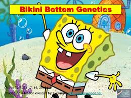 SpongeBob Genetics Worksheets II